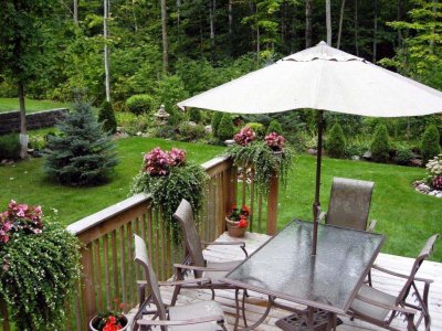 04 Back yard.jpg