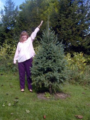 06 Douglas Fir, September.jpg