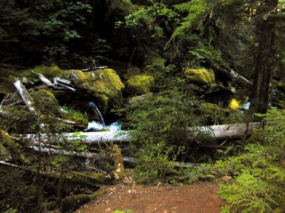 41 Watson Creek 01.jpg