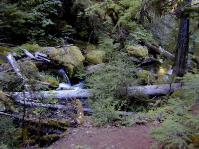 42 Watson Creek 02.jpg
