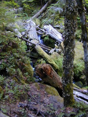 43 Watson Creek 03.jpg