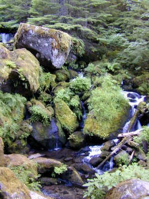 46 Watson Creek 06.jpg