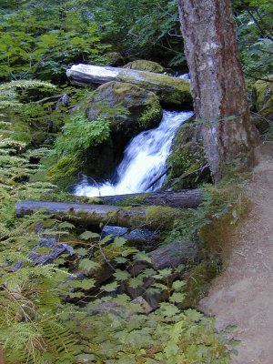 49 Watson Creek 07.jpg