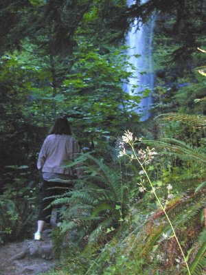 50 Watson Falls 05.jpg