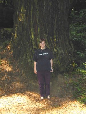 01 Tory with big tree in Jedediah Smith Redwoods State Park.jpg