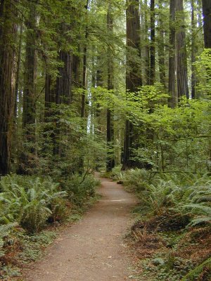 04 Stout Grove 02.jpg