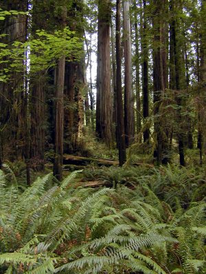 05 Stout Grove 03.jpg