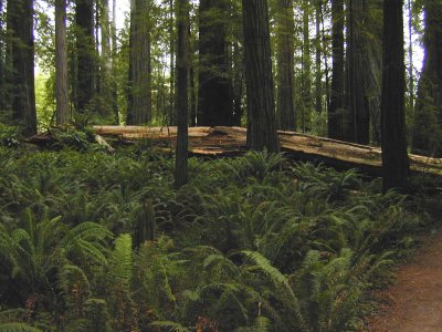 08 Stout Grove 05.jpg