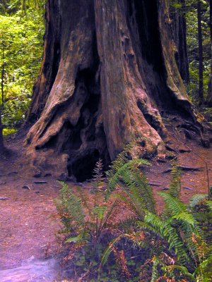09 Stout Grove 06.jpg