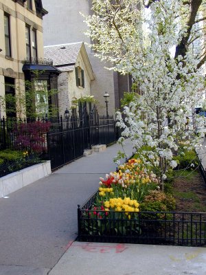 14 Gold Coast Streets 6.JPG