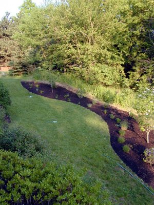 02 Mom's garden 02.JPG