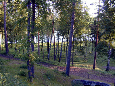 10 Bachus 08 - Dlugie Lake 01.JPG