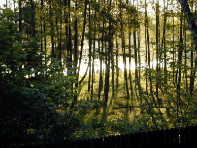 11 Bachus 09 - Dlugie Lake 02.JPG