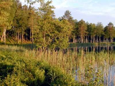 17 Bachus 15 - Dlugie Lake 08.JPG