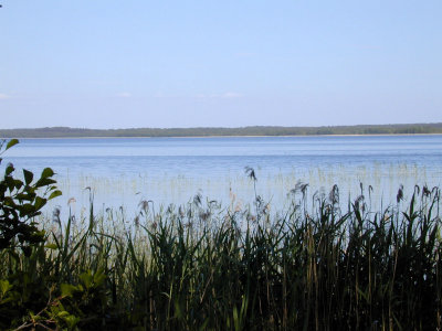 g2/67/941167/3/147897896.rqJAj3ZJ.jpg