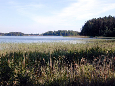 g2/67/941167/3/147897898.xIFry8cv.jpg