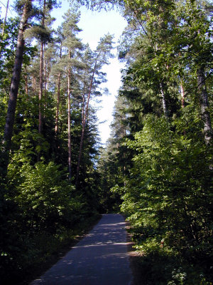 26 Wigry National Park 06.JPG