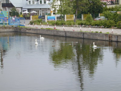 g2/67/941167/3/147897911.DetIPDDW.jpg