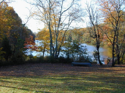 02 The Back Yard.JPG