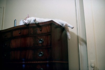10 Fafnir, in his usual precarious position.jpg