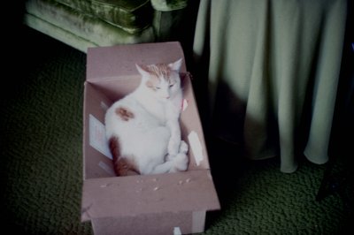 04 Fafnir in a box 01.jpg