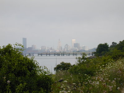 East Bay bike path 5.JPG