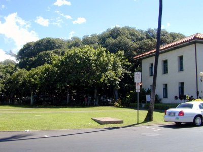 09 Banyan tree and courthouse.JPG