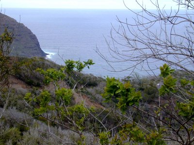 09 The coast at Halawa Bay.jpg