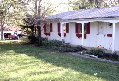 01 Lawn needs attention.jpg
