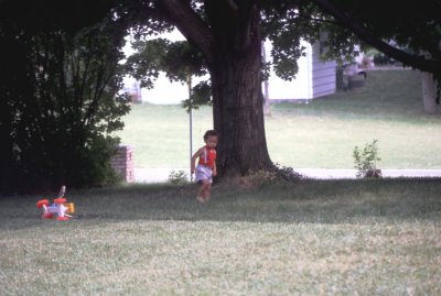 10 Paul under the big tree.jpg