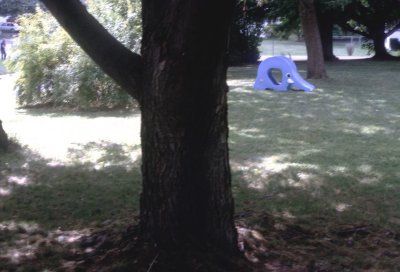 11 Front yard, with elephant.jpg