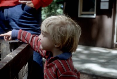 07 Dylan at petting zoo 01.jpg