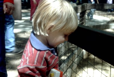 08 Dylan at petting zoo 02.jpg