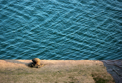 Water Weave / Agua Tejida