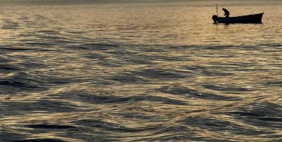 Silvered Sunrise