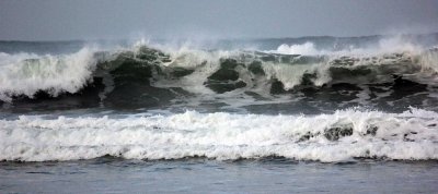 Wave in greens