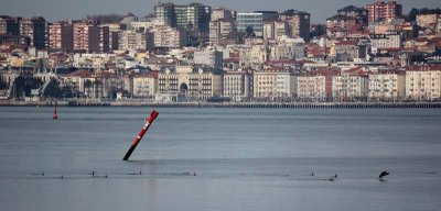 El Muelle