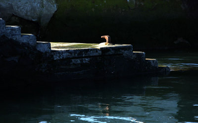 Mooring