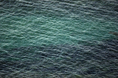 Sea skin I