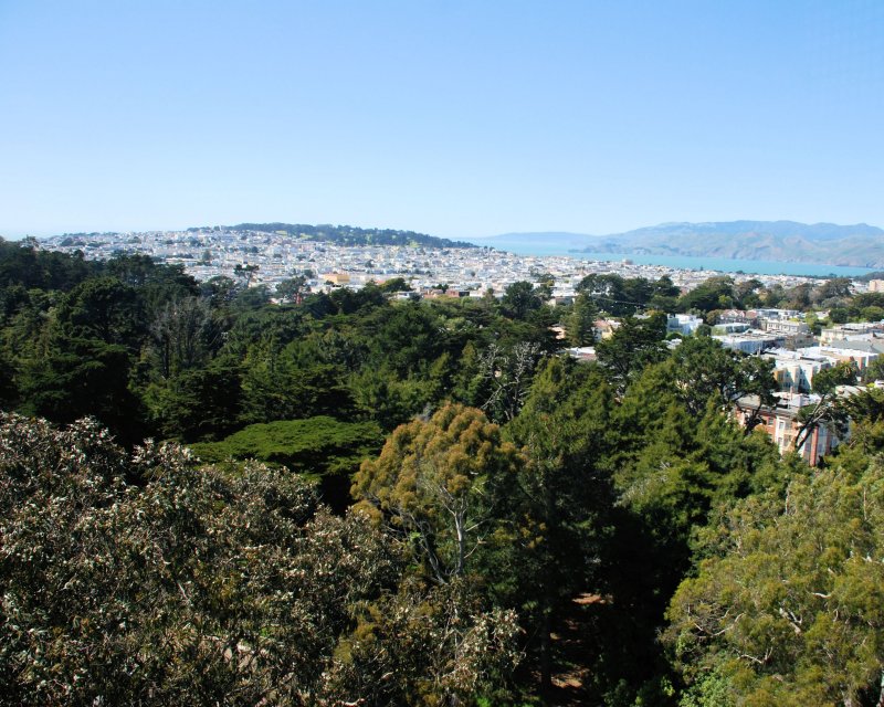 de Young View 8x10 DSC_6099.JPG