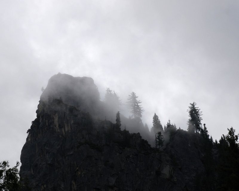 yosemite fog DSC_5858.JPG