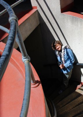 Coit Tower Stairs K 5x7 c DSC_6017.JPG