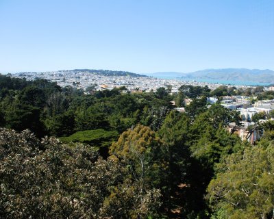 de Young View 8x10 DSC_6099.JPG