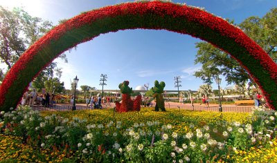 Flower and Garden Festival