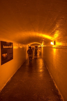 IMGP3532.jpg