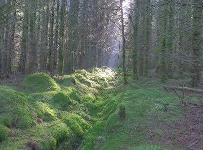 Another ditch