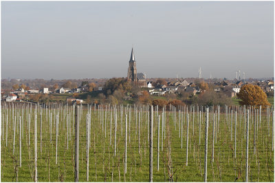 vanaf de Sint Marftinus wijnberg