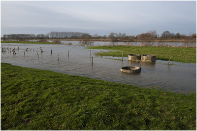 Hoog water in de Maasband