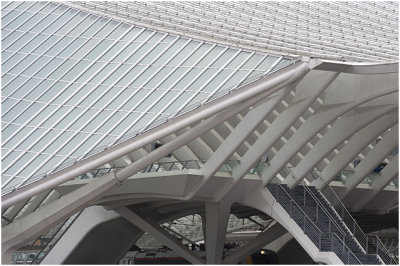 Guillemins