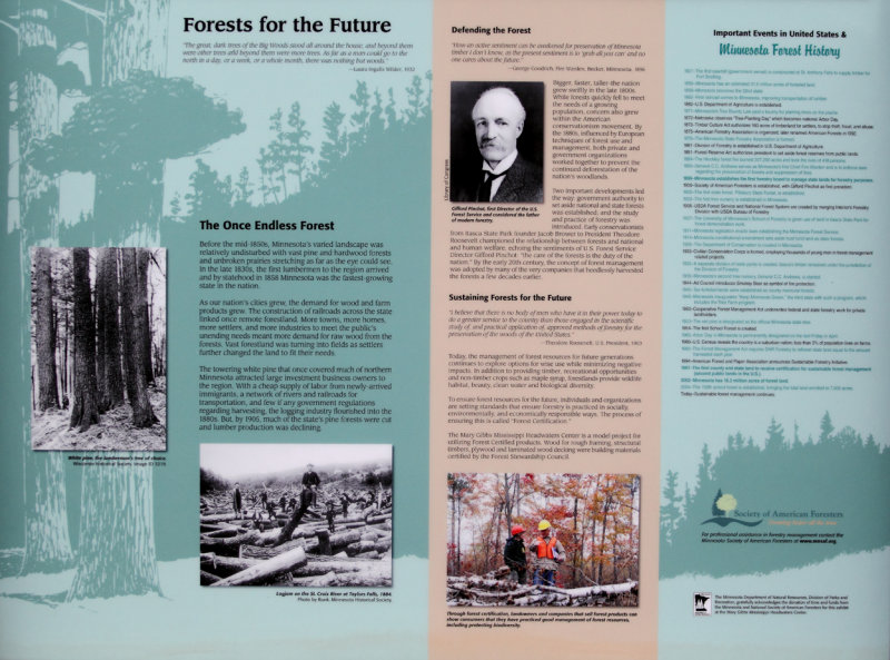 Forest History poster copy.jpg